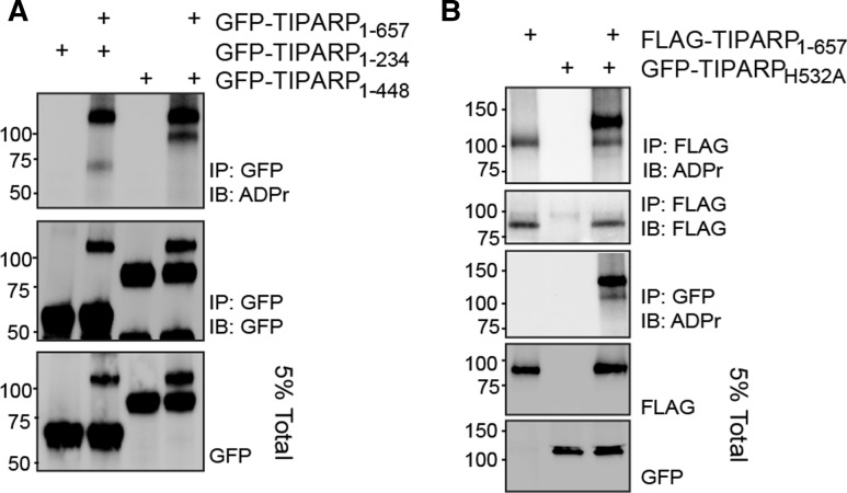 Figure 4.