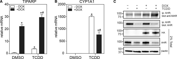 Figure 7.