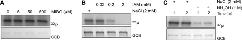 Figure 5.