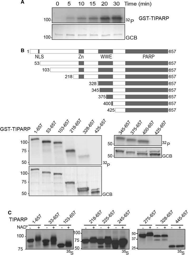 Figure 2.