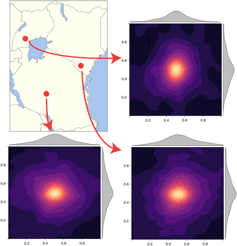 Fig. 7