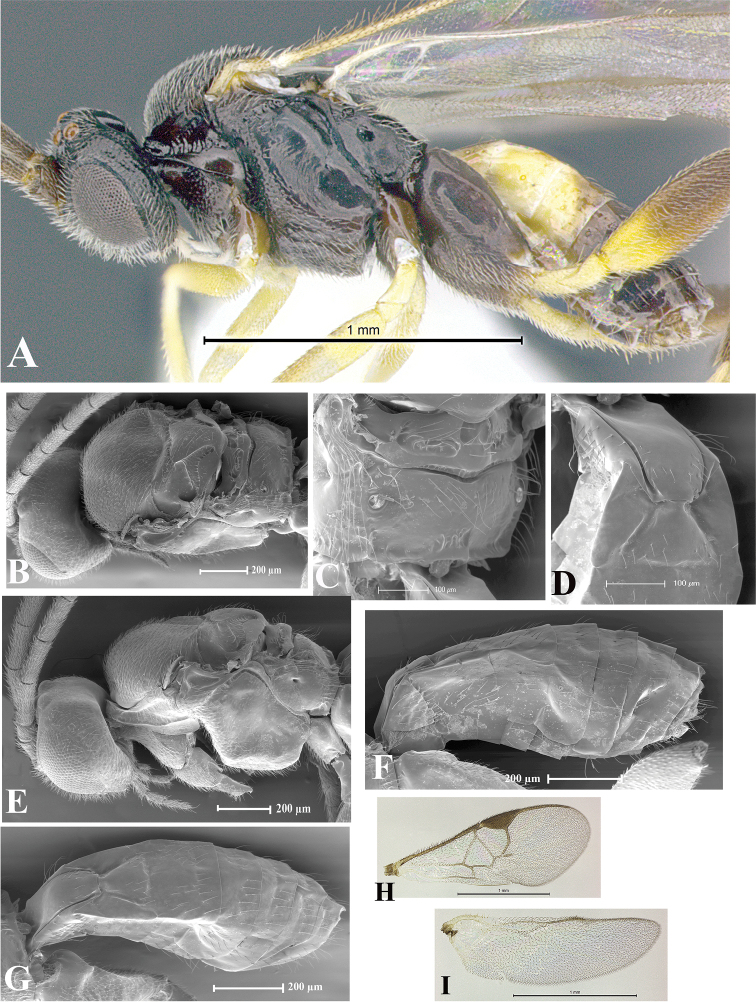 Figure 53.