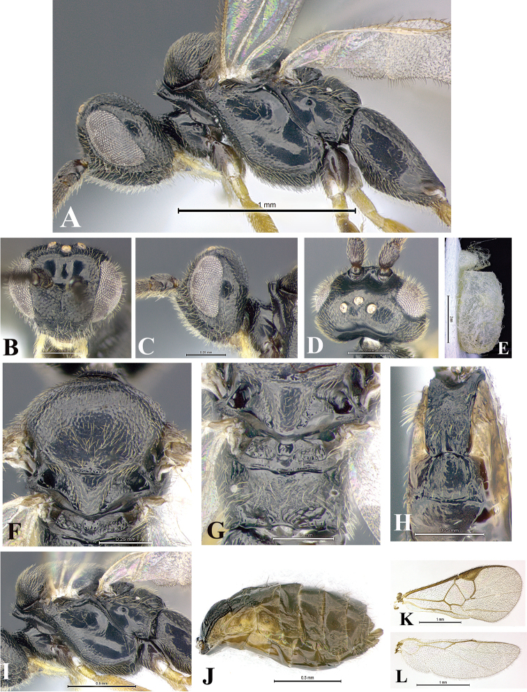 Figure 47.