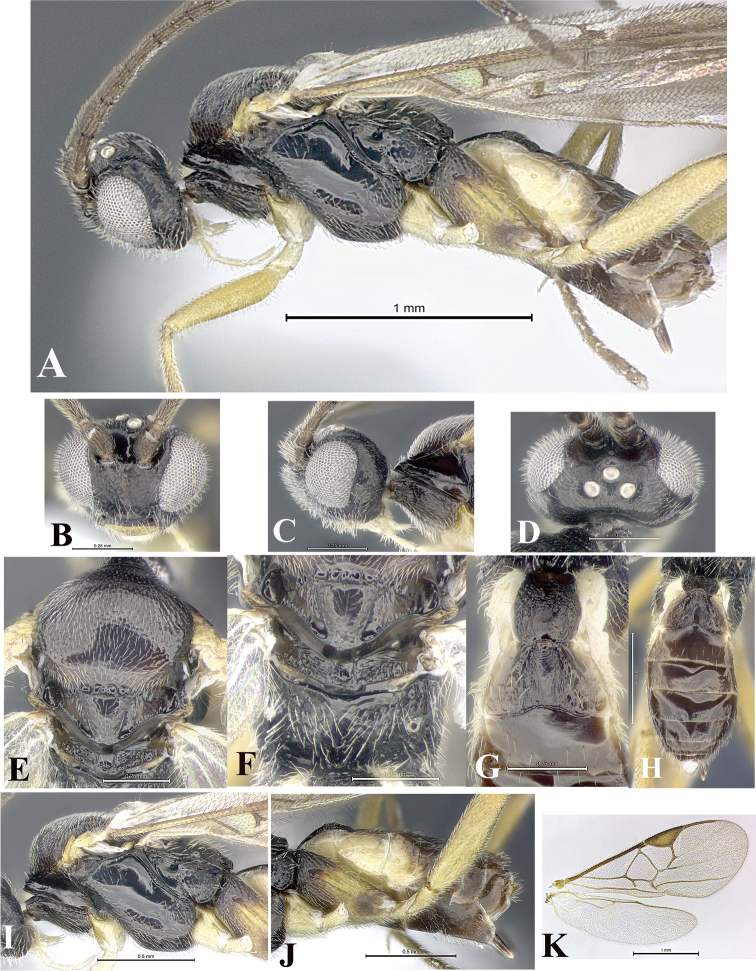 Figure 149.