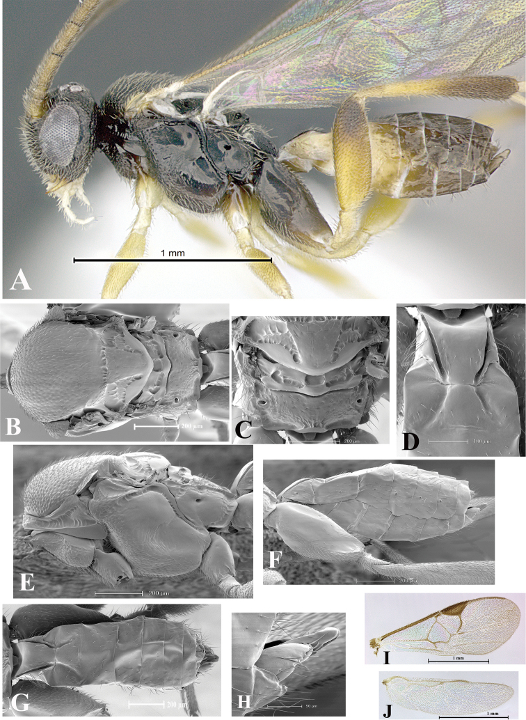 Figure 117.