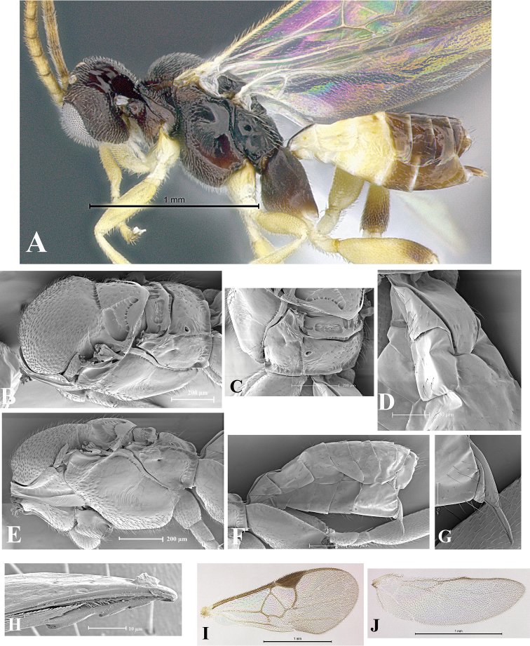 Figure 66.