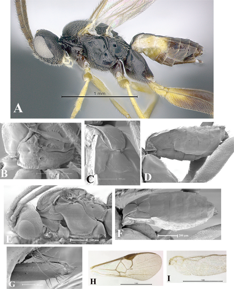 Figure 111.