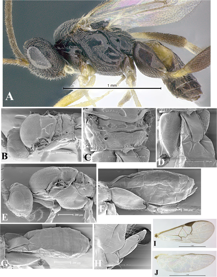 Figure 65.