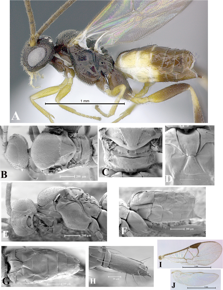 Figure 123.