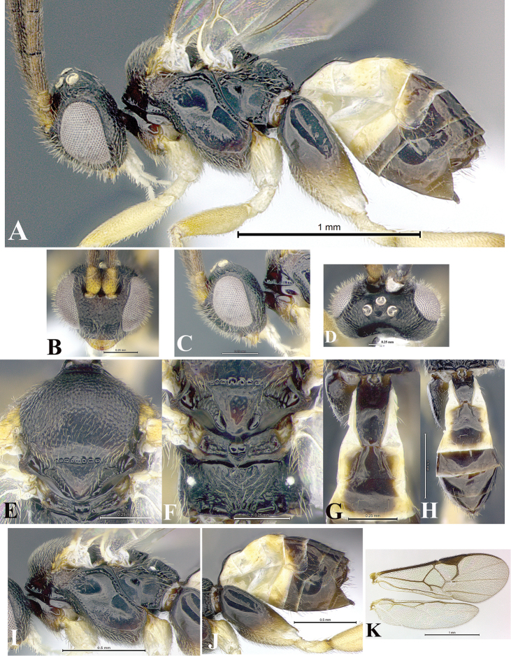 Figure 208.