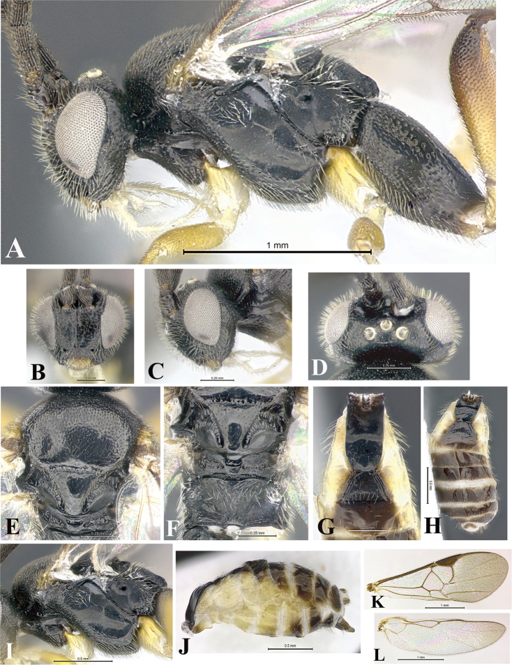 Figure 177.