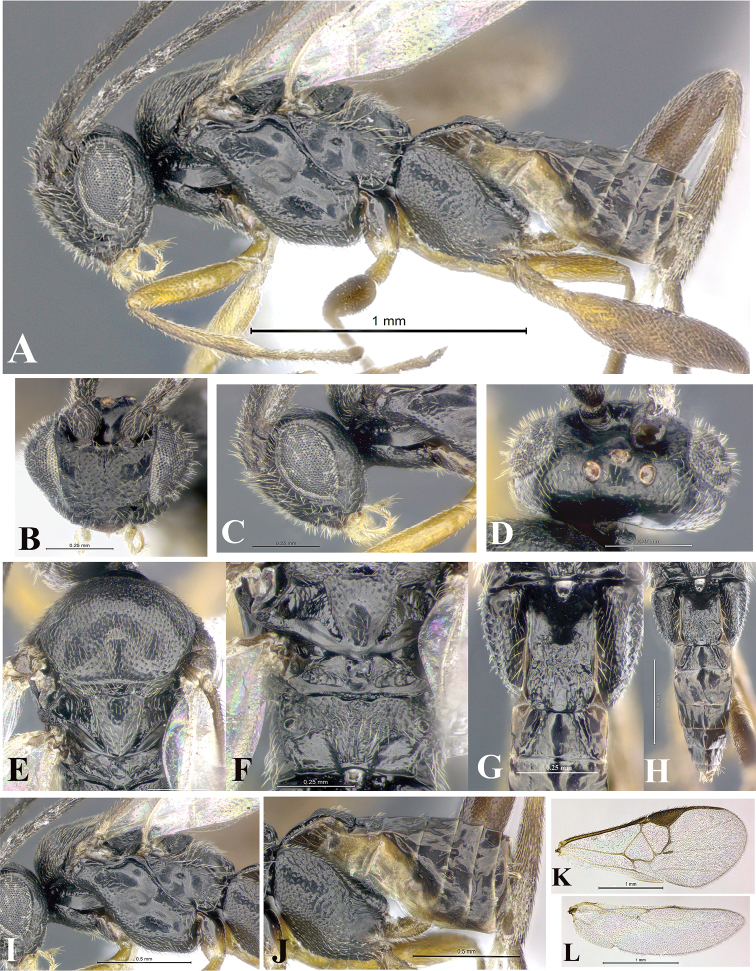 Figure 151.