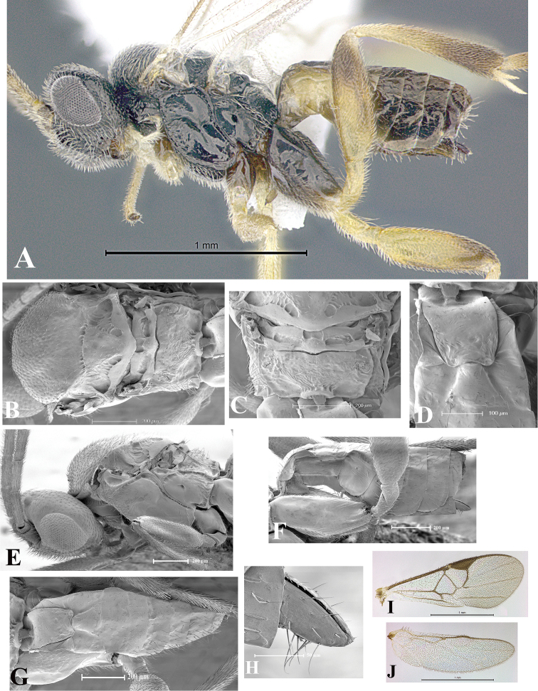 Figure 160.