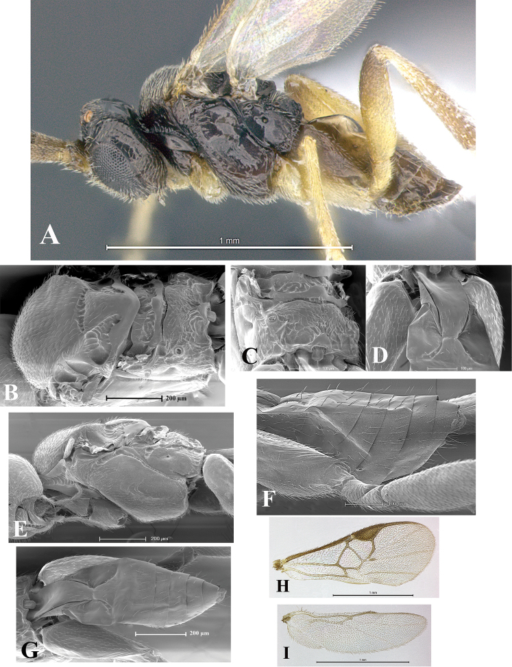 Figure 45.