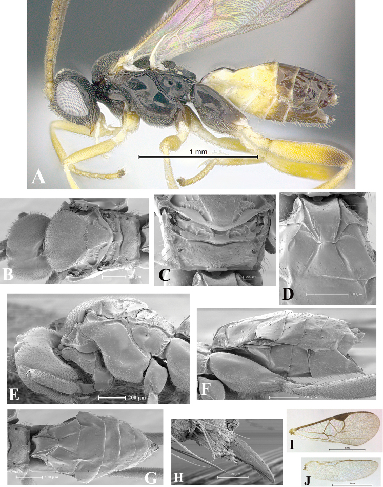 Figure 113.