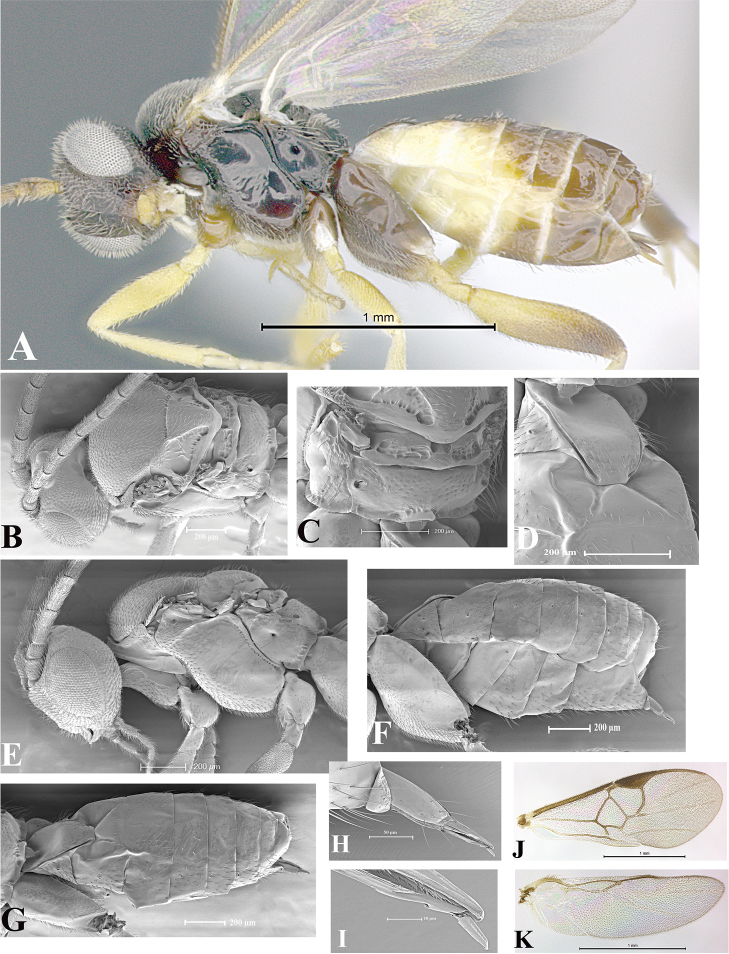 Figure 78.