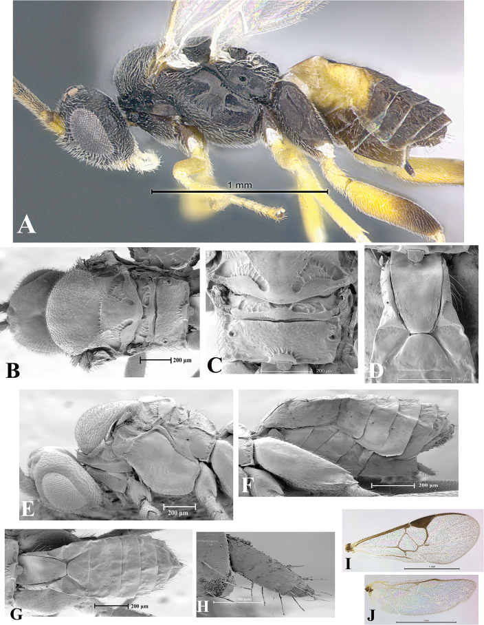 Figure 154.