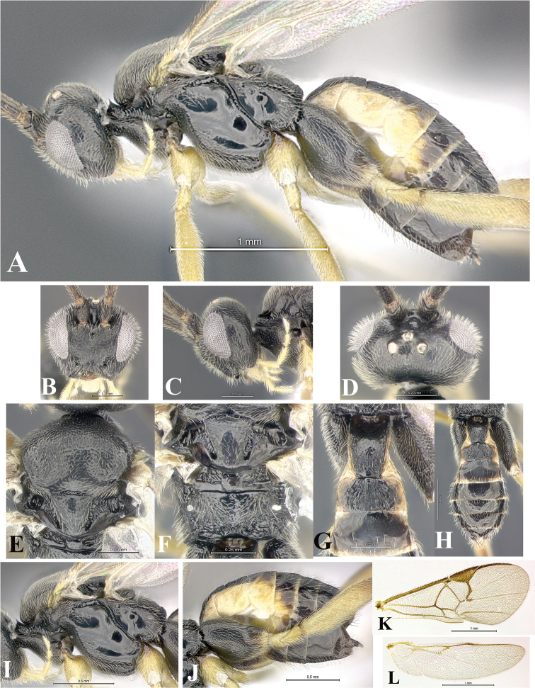 Figure 138.