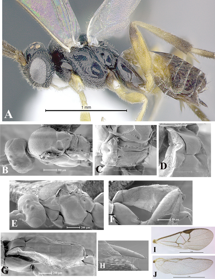 Figure 127.