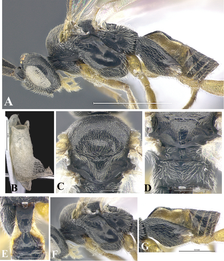 Figure 28.