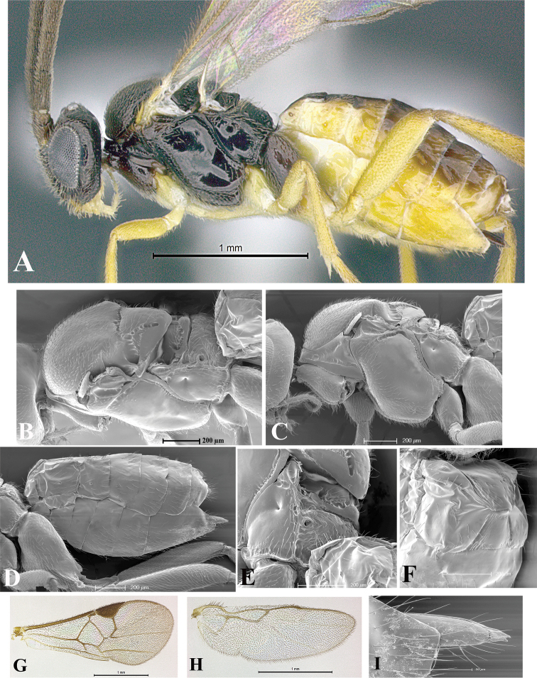 Figure 39.