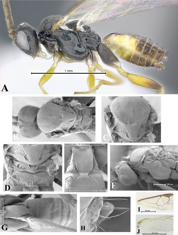 Figure 110.