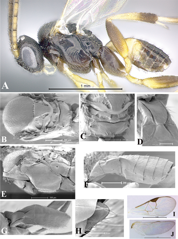 Figure 153.