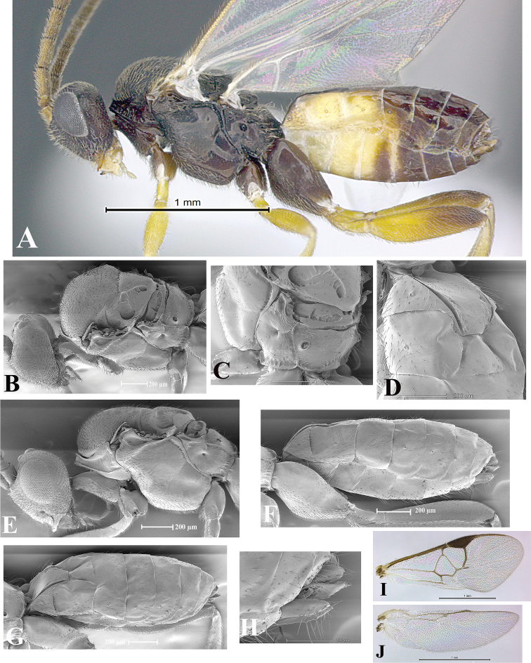 Figure 102.