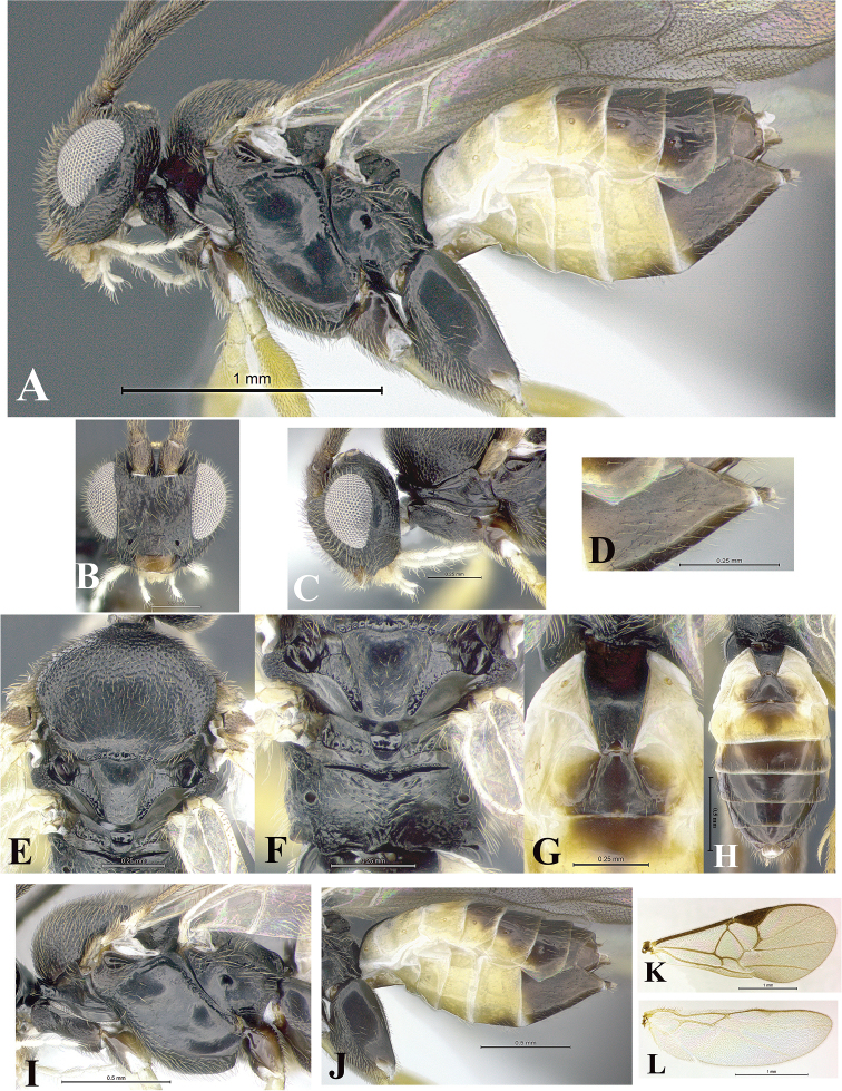 Figure 20.