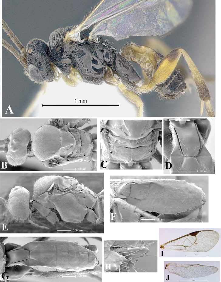 Figure 128.