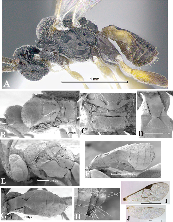 Figure 155.