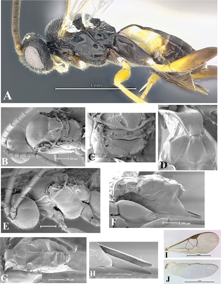 Figure 105.