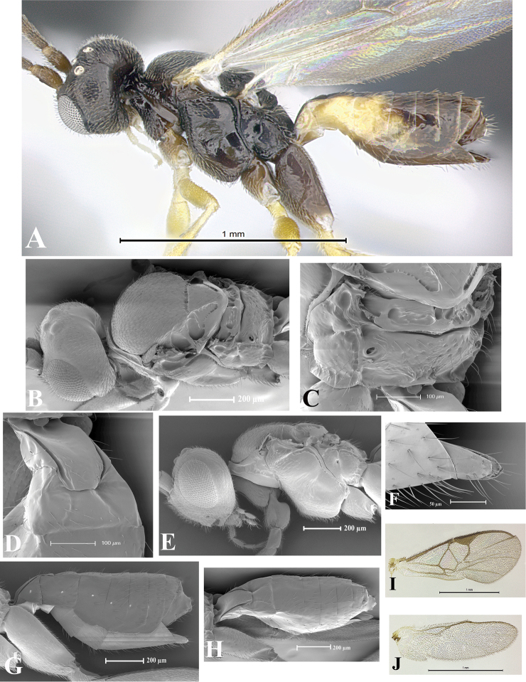 Figure 54.