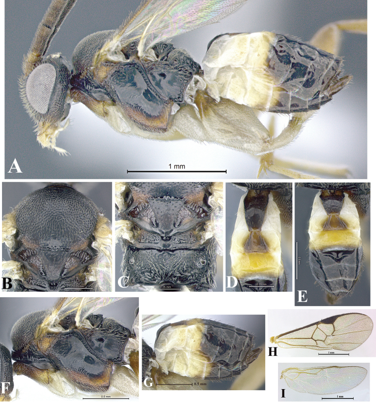 Figure 176.