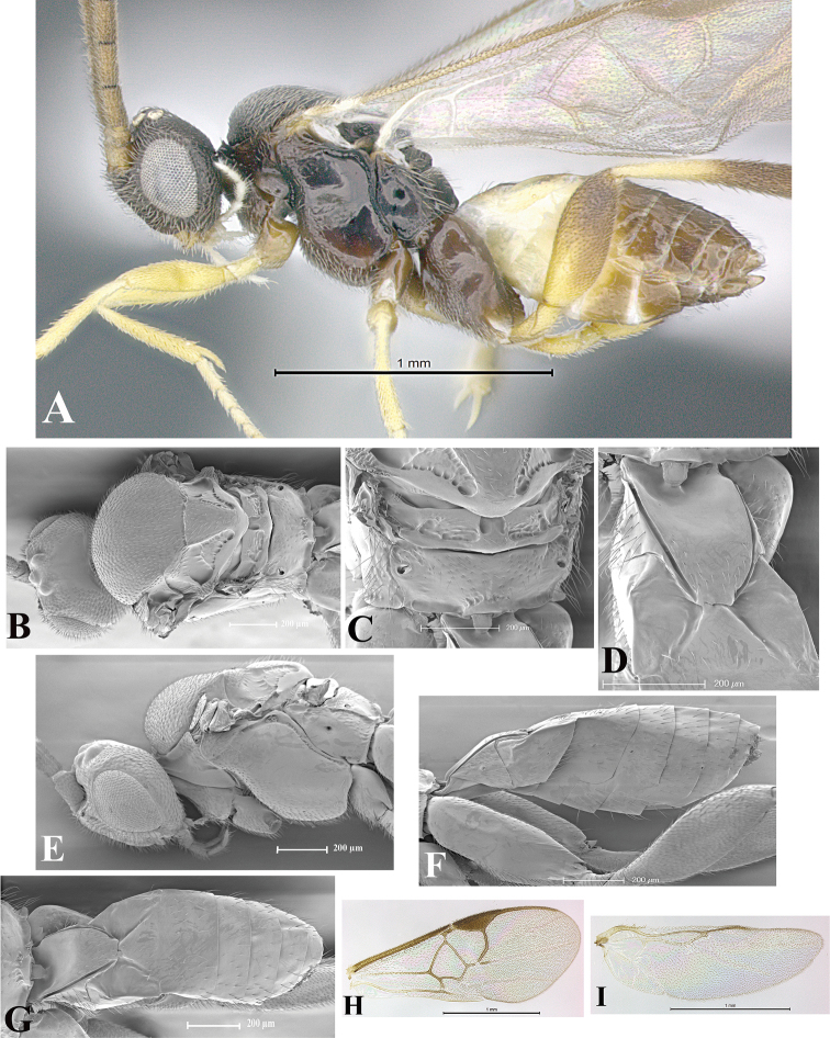 Figure 79.