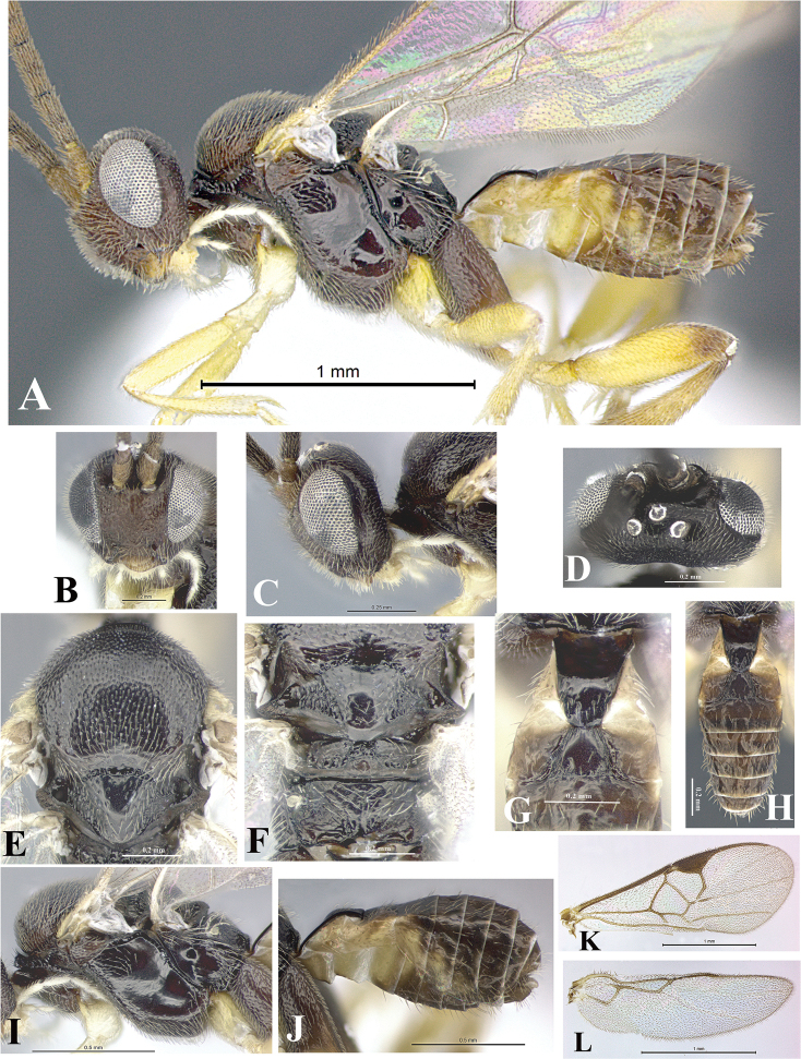 Figure 143.