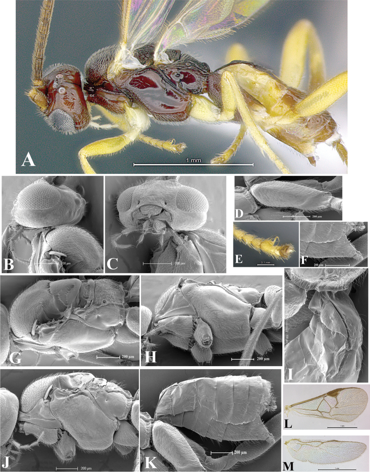 Figure 37.