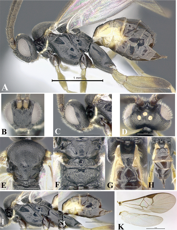 Figure 218.