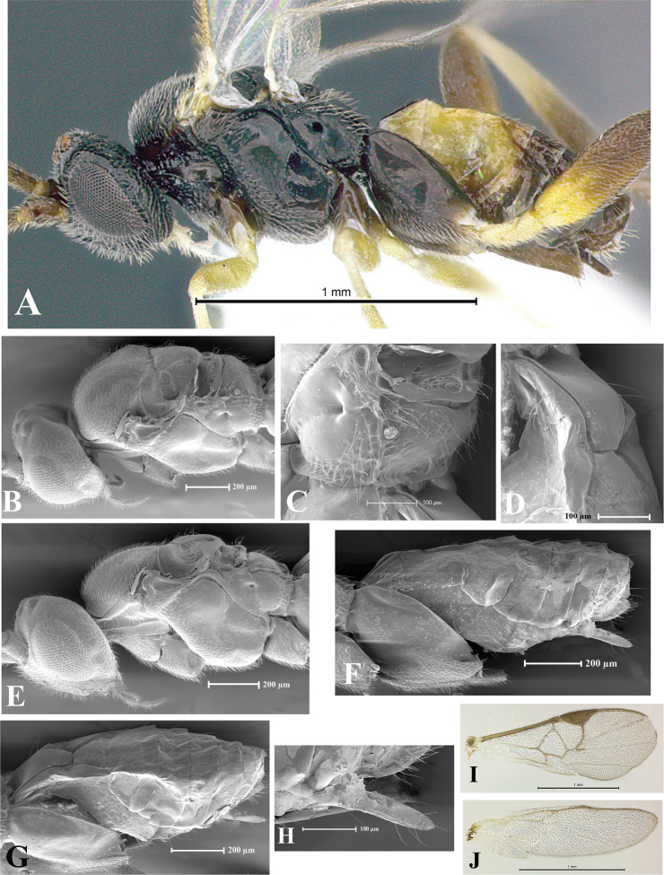 Figure 52.