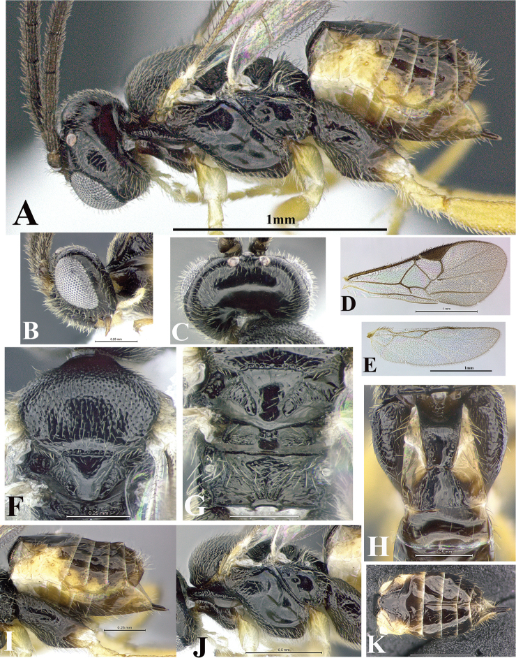 Figure 182.