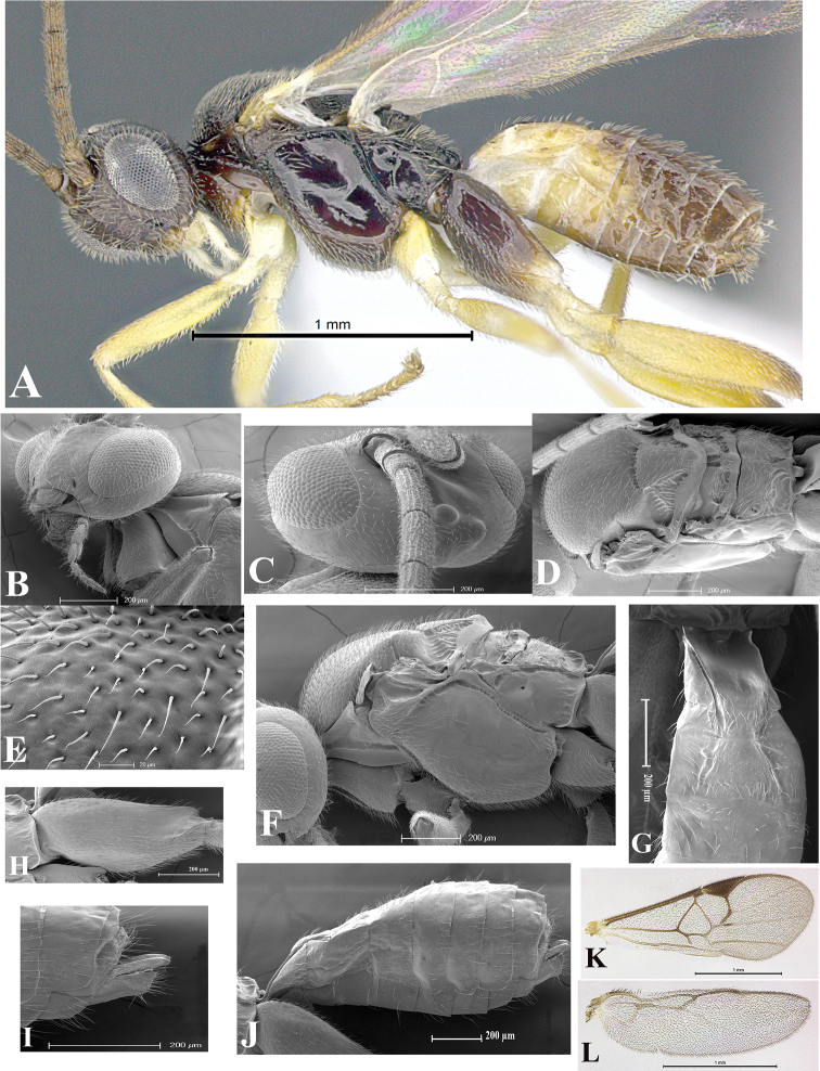 Figure 26.