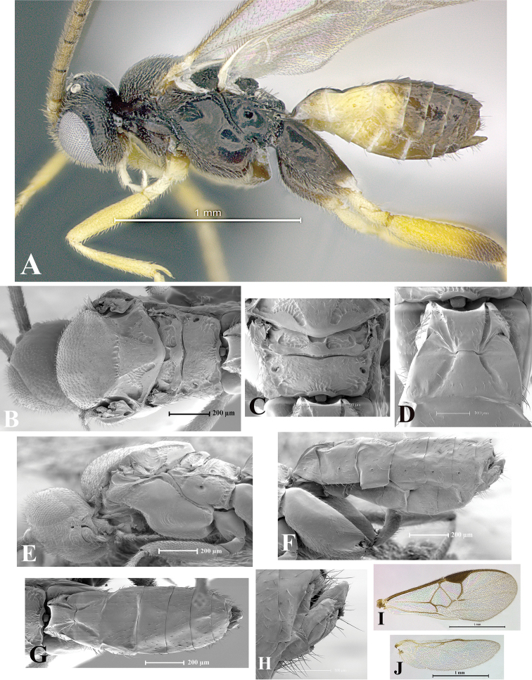 Figure 114.