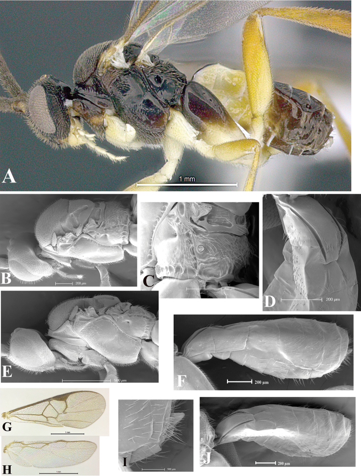 Figure 51.