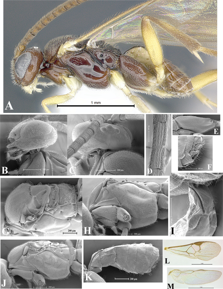 Figure 38.