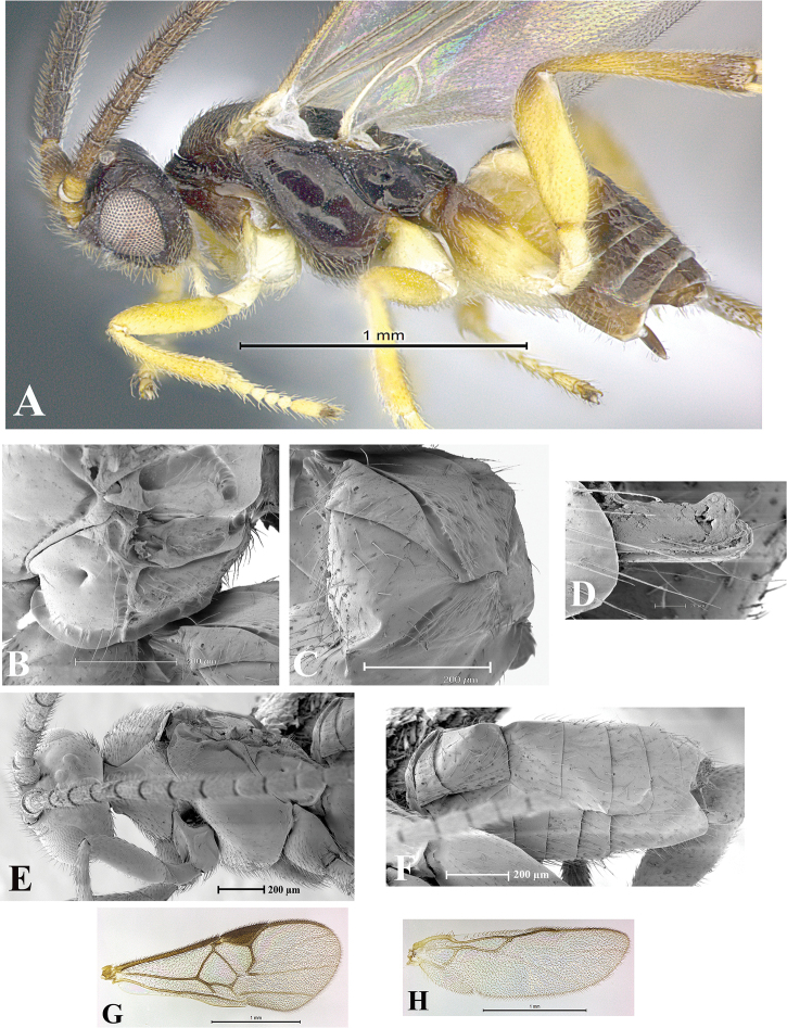 Figure 158.