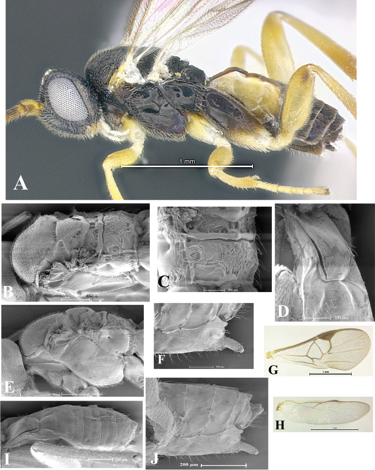 Figure 48.