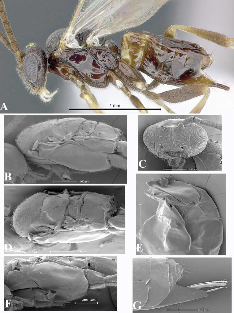 Figure 5.