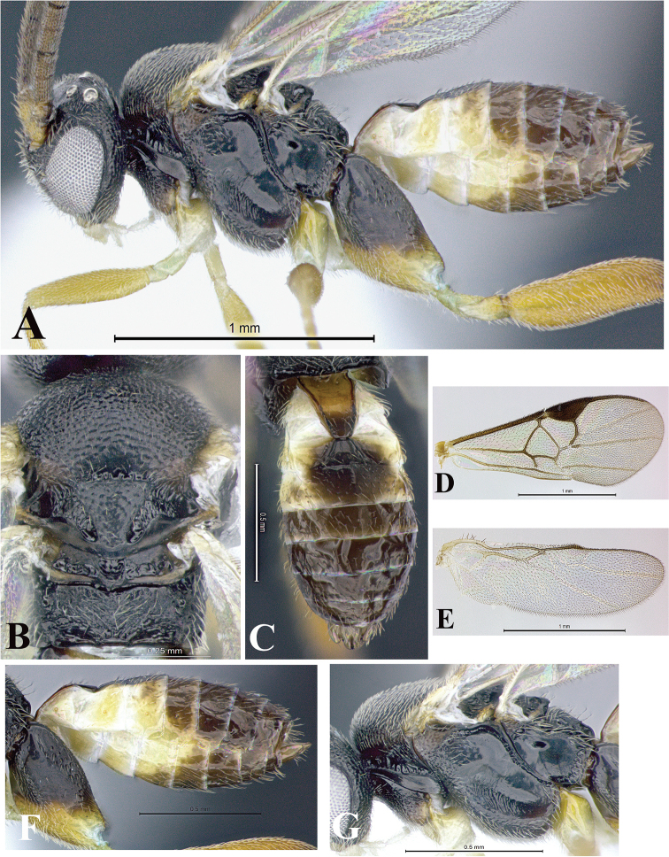 Figure 179.