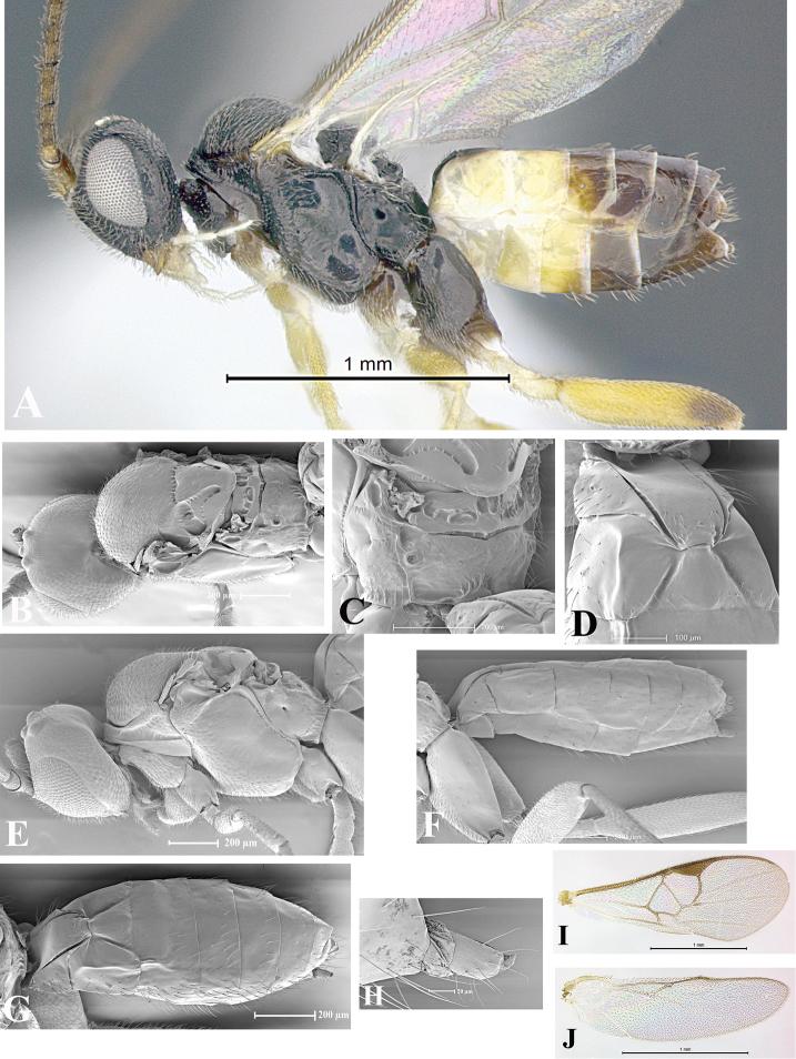 Figure 72.