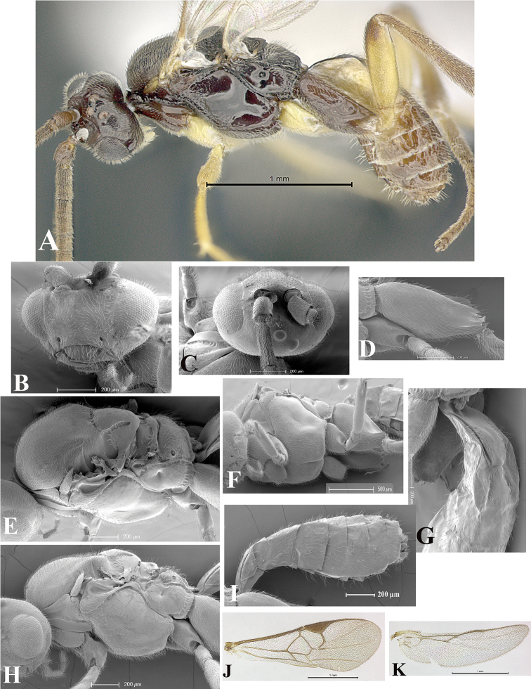 Figure 11.